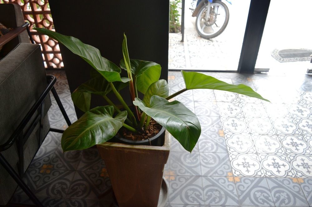 Monsoon Bassac Hotel Phnom-Penh Buitenkant foto