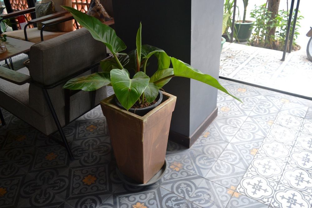 Monsoon Bassac Hotel Phnom-Penh Buitenkant foto