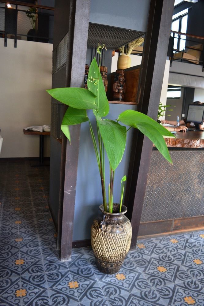 Monsoon Bassac Hotel Phnom-Penh Buitenkant foto